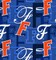 Licensed NCAA University of Florida Letters Cotton Fabric by the Yard